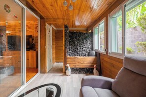 TV, fireplace, books - La Kaz Creole - Jacuzzi - Parking (Saint-Paul)
