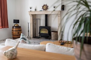 TV, caminetto, libri, videoteca