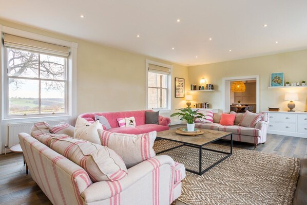 Chimenea y reproductor de DVD 