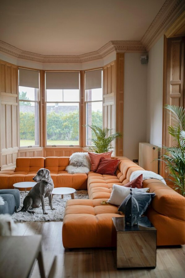 Un salon chaleureux avec un canapé d’angle, une petite table ronde et un chien.