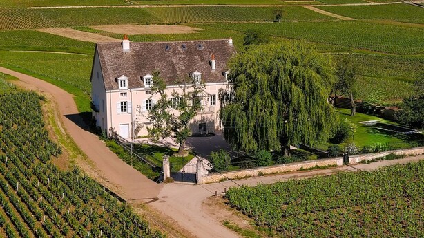 A large white building with a steep roof, surrounded by vineyard fields. - Maison des Grands Crus (Puligny-Montrachet)