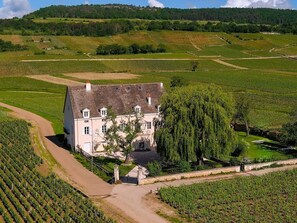 A large white building with a steep roof, surrounded by vineyard fields.