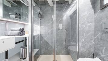 Shower, hair dryer, bidet, towels