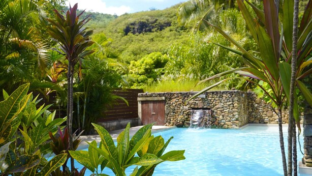 A pool surrounded by tropical plants and a stone wall with a waterfall. - MOOREA - Waterfall Pool Coconut 1 (Pihaena)