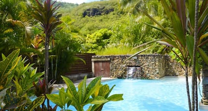 MOOREA - Waterfall Pool Coconut 1