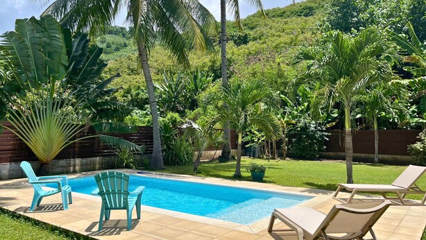 A swimming pool with lounge chairs and a palm tree.