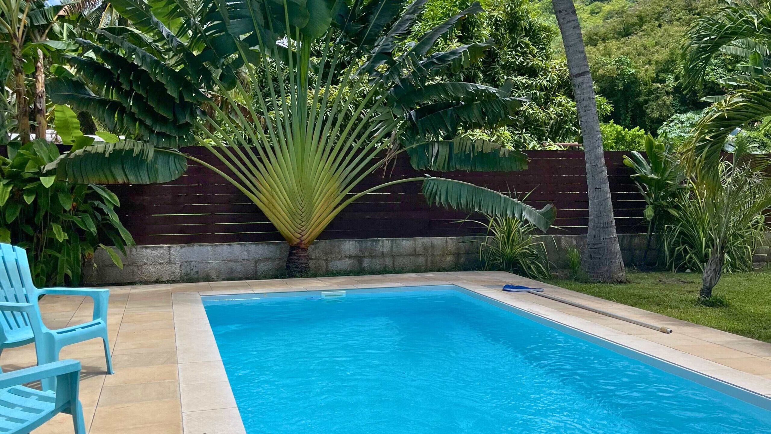 A swimming pool with a wooden deck, surrounded by lush greenery and a wooden fence.