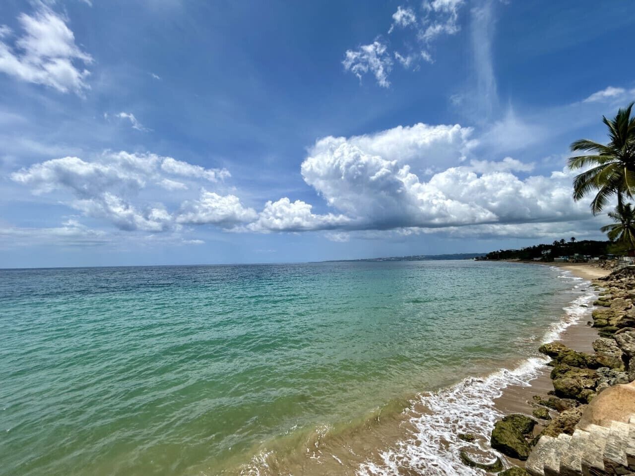 A beach with clear turquoise water, a rocky shoreline, and a palm tree.