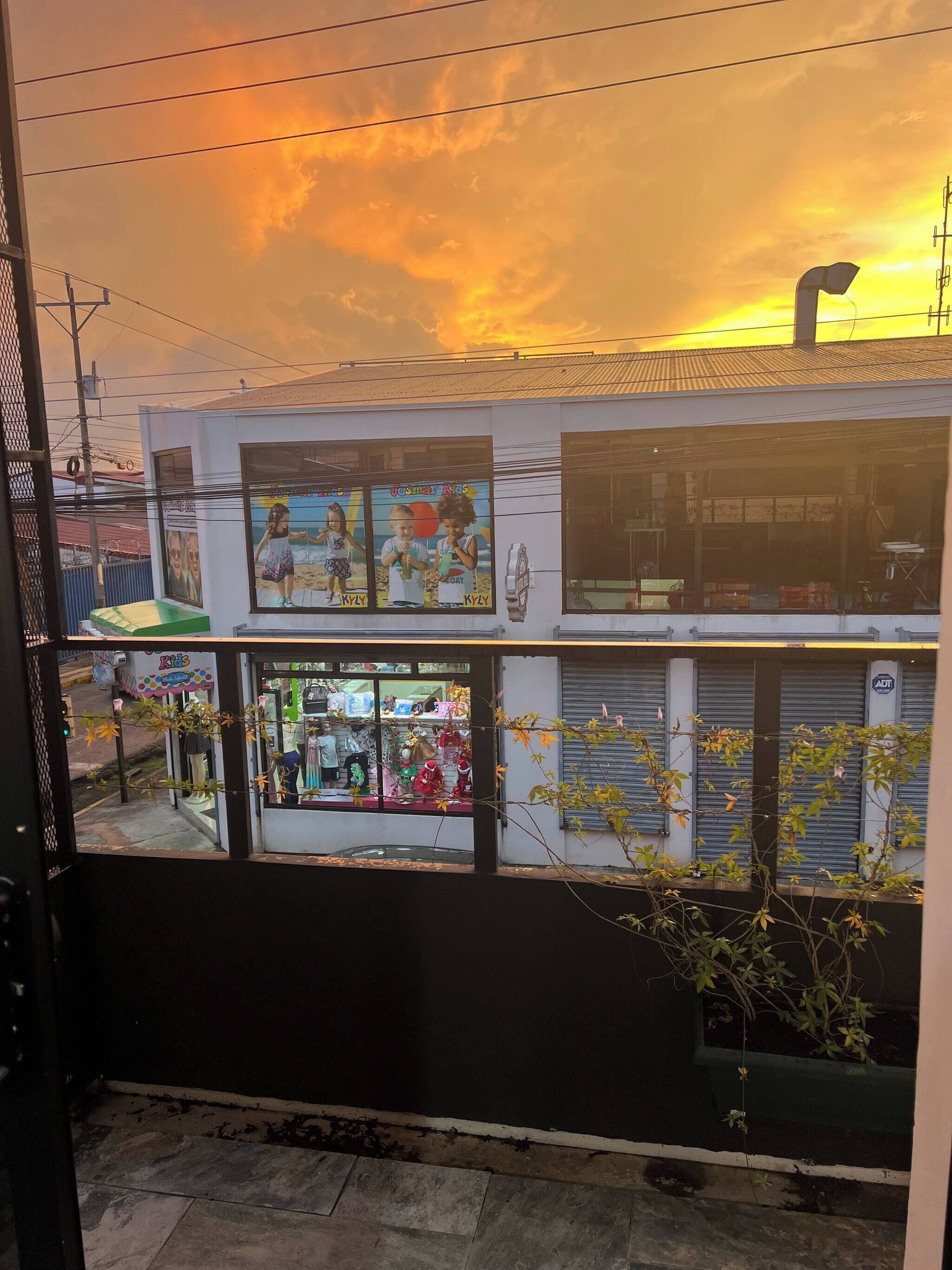 Vista desde la propiedad