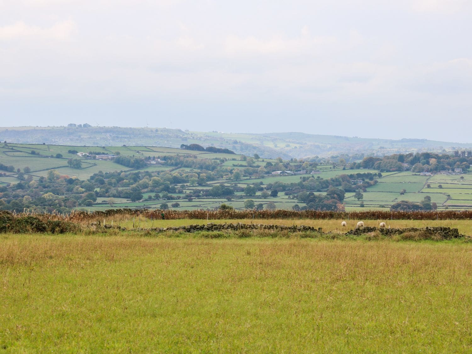 A rural landscape with rolling hills, fields, and scattered buildings.