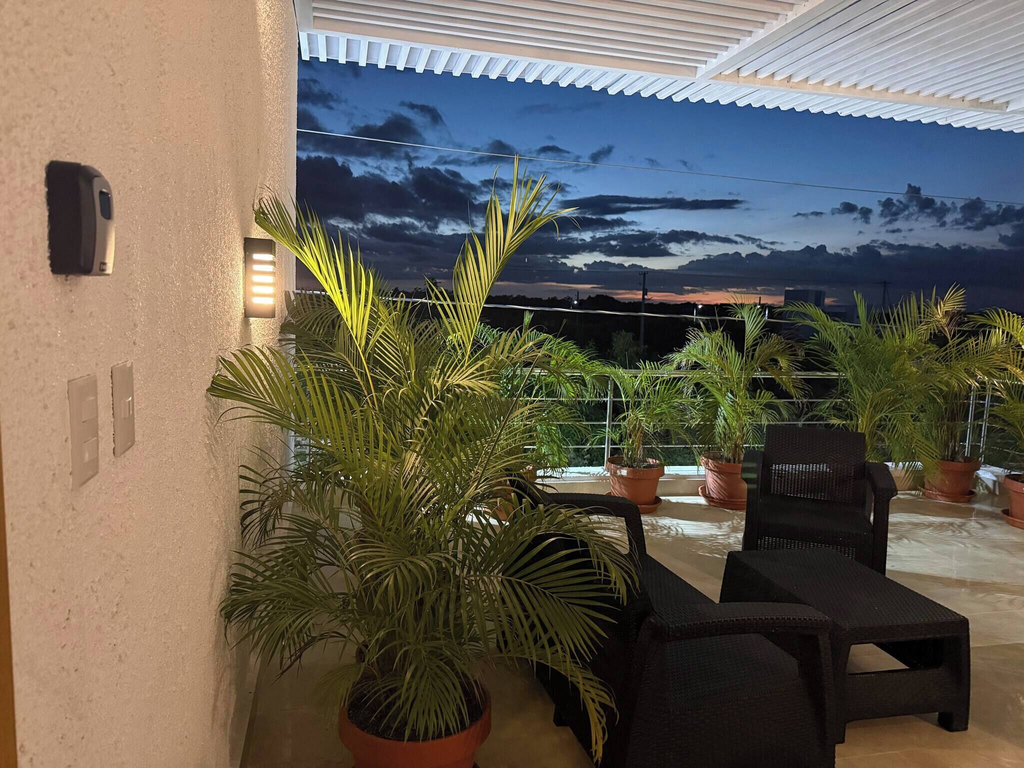 Un espace extérieur aménagé, abrité et doté de plantes en pot, offrant une vue sur le ciel.