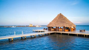 Terrain de l’hébergement