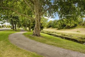 Property grounds - Central Ease - Napier Holiday Home (Napier)