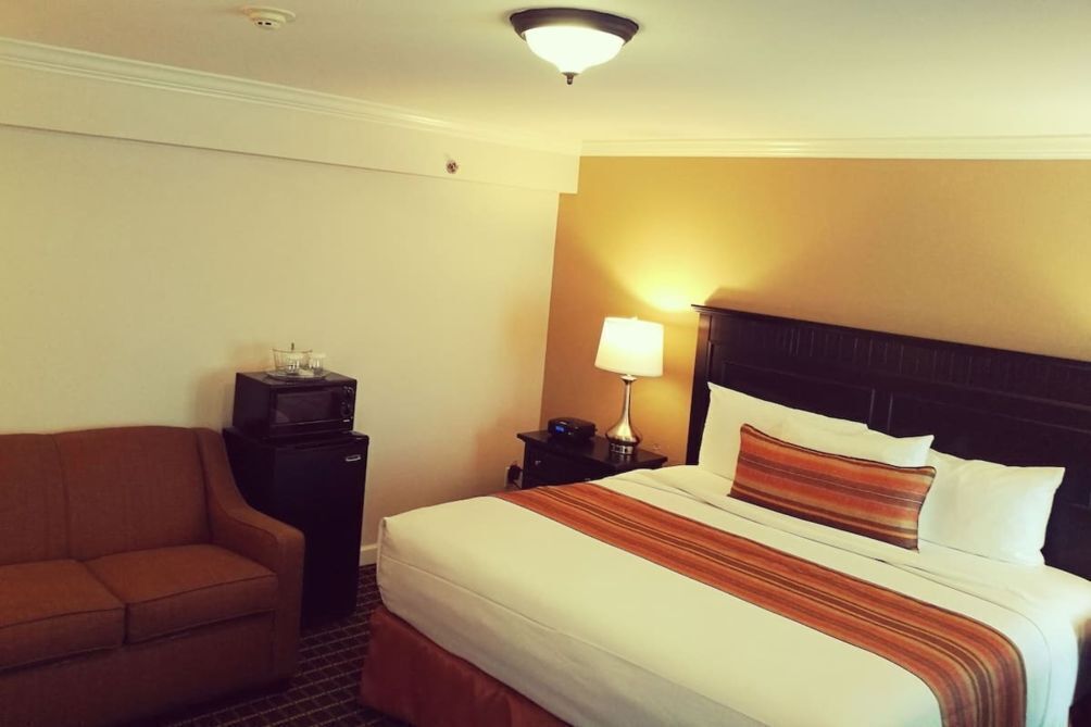 A hotel room with a bed, a chair, a nightstand, and a lamp.