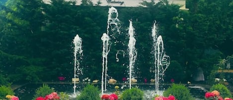 Enceinte de l’hébergement