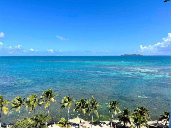Une plage avec une vue sur une eau turquoise et limpide, des palmiers et une île qui se dessine à l’horizon.