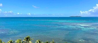 Private Island/Oceanview/Entire 1BR Condo/2 kayaks