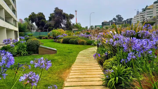 Un sendero que atraviesa un jardín cuidado con flores púrpuras y arbustos podados.