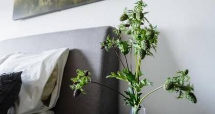 Loft en el Centro de Puebla