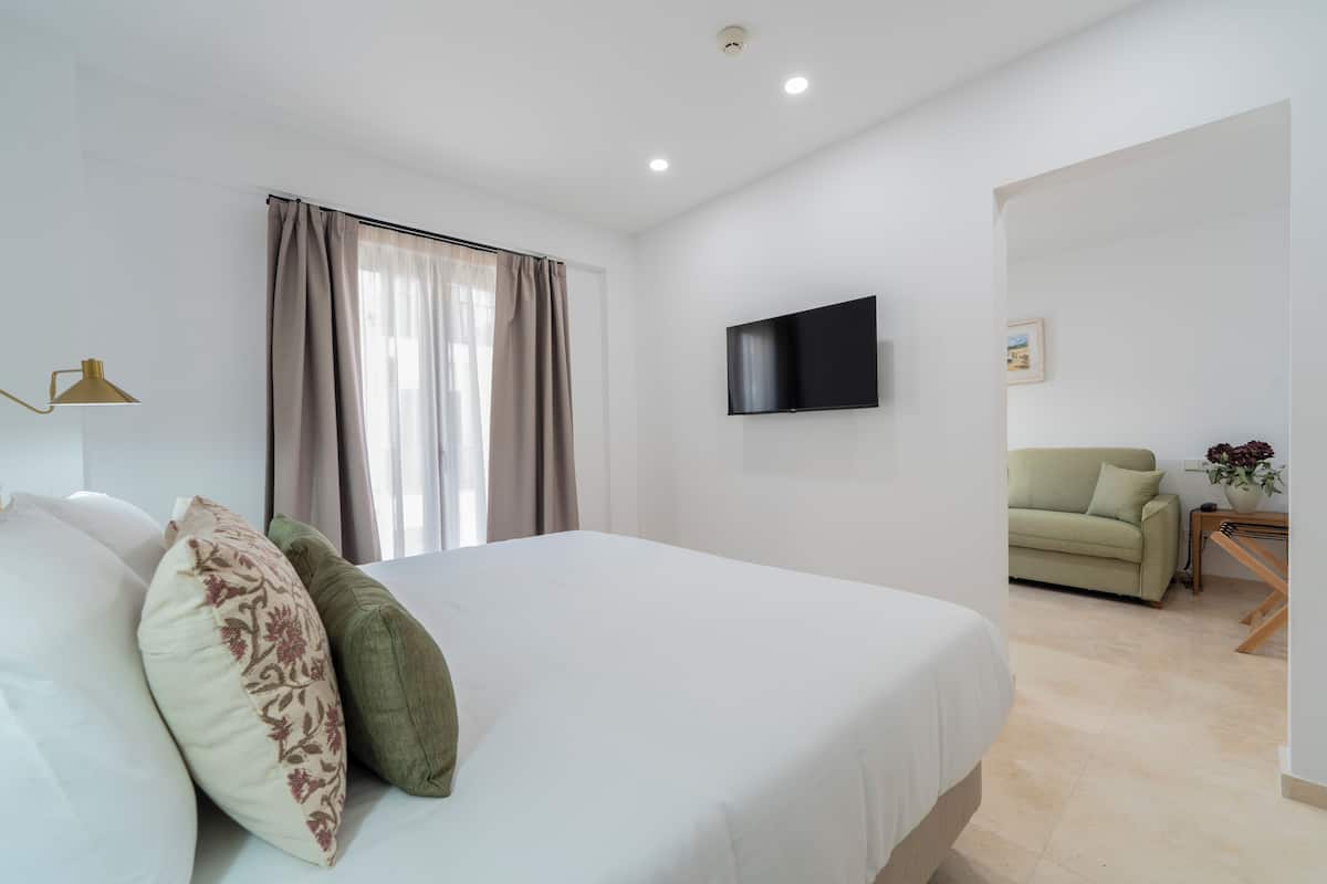 A bedroom with a bed, a TV mounted on the wall, a window with curtains, and a sofa in the adjacent room.