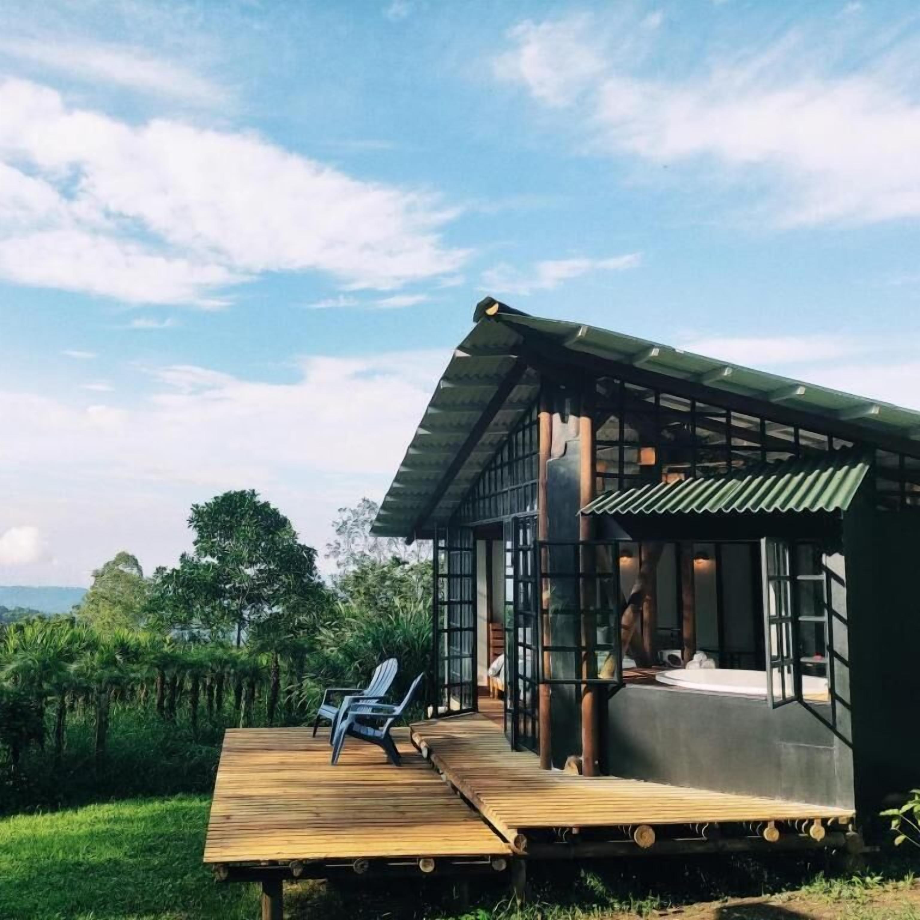 Una terraza de madera con una sola silla, un edificio con techo verde y vistas de la vegetación circundante.