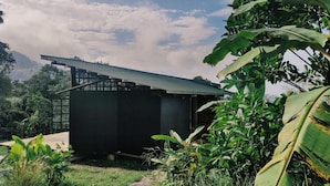 Un edificio moderno de color oscuro con techo inclinado, rodeado de abundante vegetación y un cielo despejado.