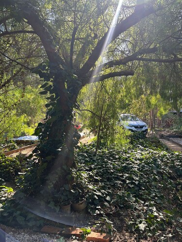 Full house near the sea in Guazuvirá - Quiet and bright. Ideal for families