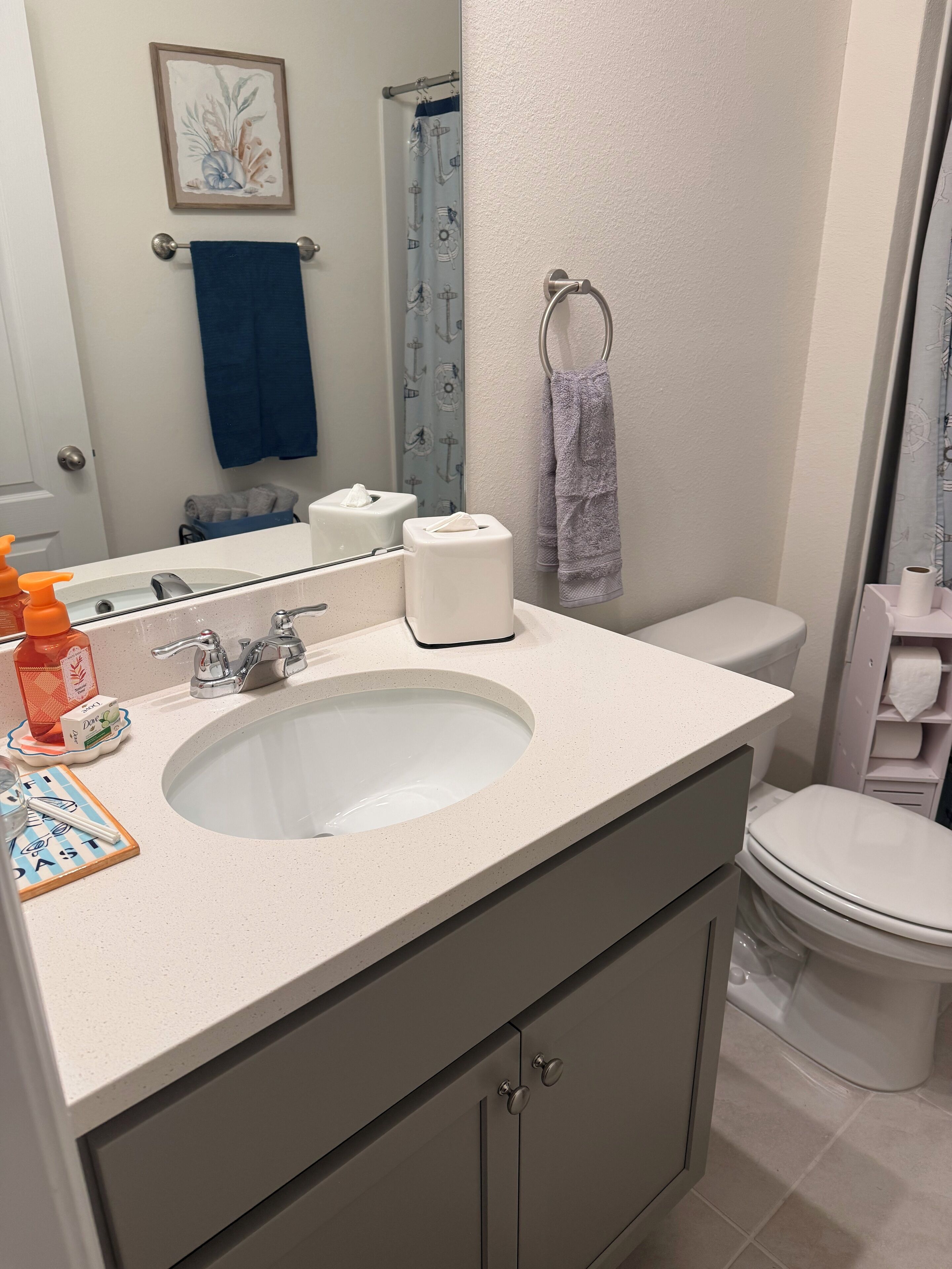 Hair dryer, towels, soap, toilet paper