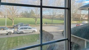 Blick durch ein Fenster mit Metallgitter, der eine Straße mit geparkten Autos und eine begrünte Fläche mit Bäumen zeigt.