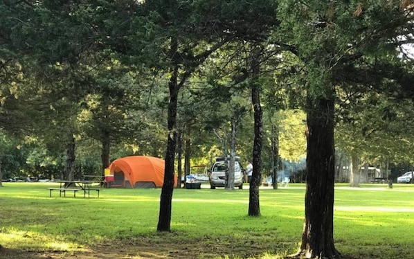 Property grounds - One of our Glamping Site at the Bar M Resort on Table Rock Lake (Branson)