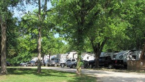 Un camping con vehículos recreativos y automóviles estacionados entre árboles.