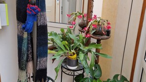 Ein Zimmer mit einem großen Spiegel, einer mit Schal bekleideten Mannequin und verschiedenen Topfpflanzen.