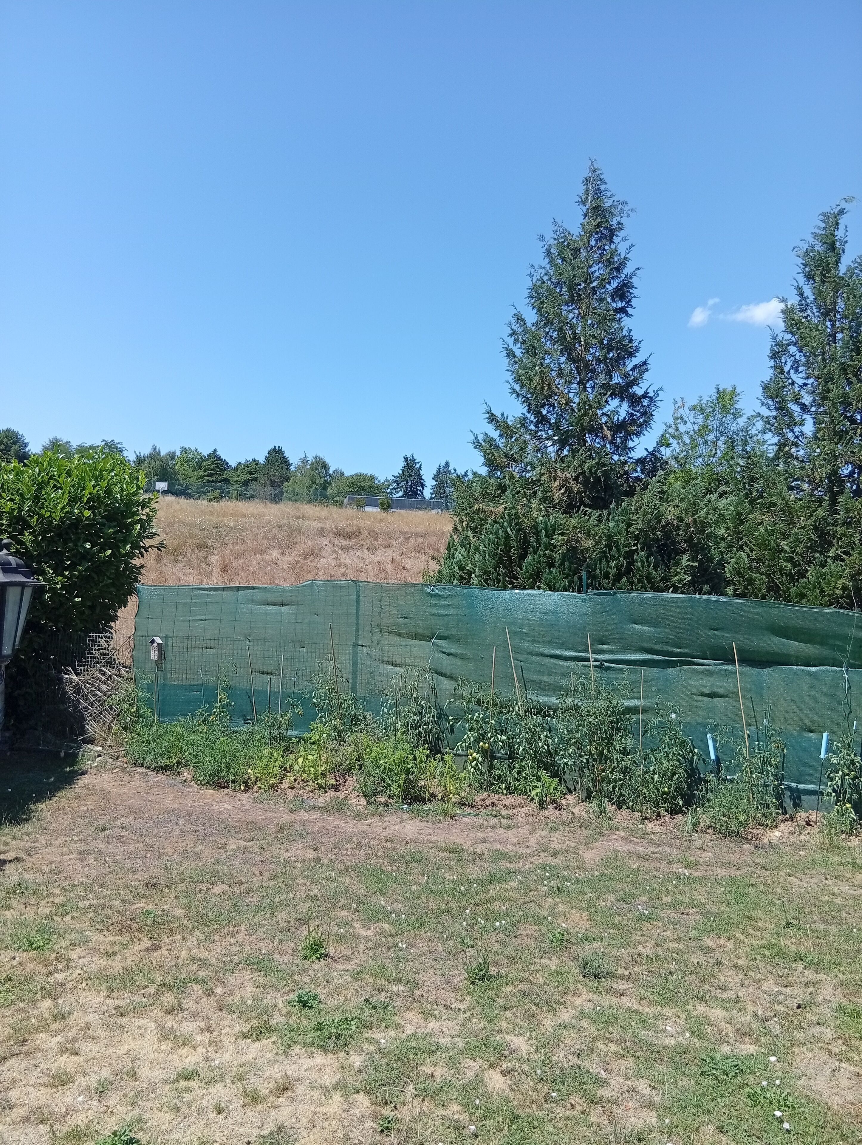 Un jardín con una valla verde, un cobertizo pequeño y un cielo azul despejado.