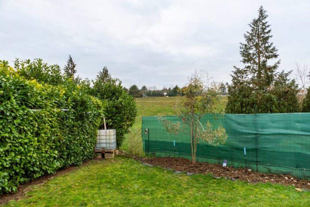 Un espace jardin clos, agrémenté d’une haie verte, d’un petit arbre et d’une cuve à eau en métal.
