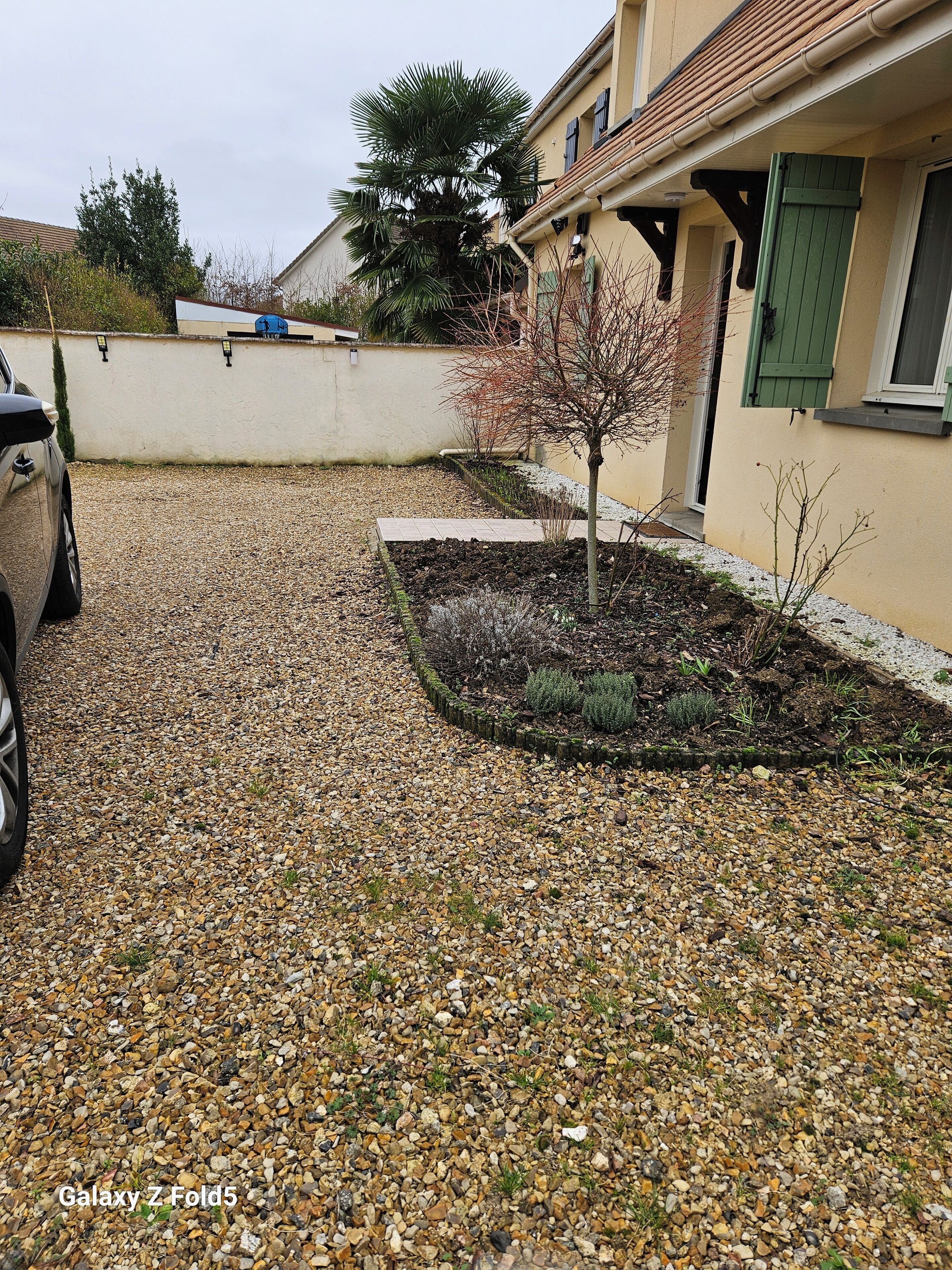 Un quartiere residenziale con vialetto sterrato, un piccolo albero e un'auto parcheggiata.