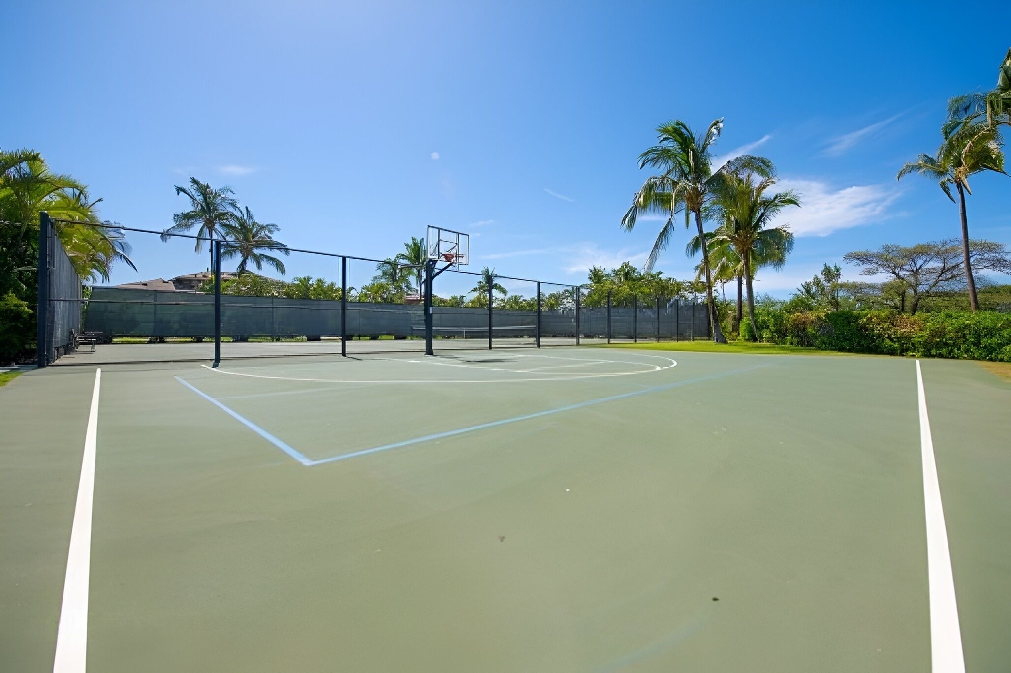 An outdoor basketball court with a clear sky, palm trees, and a fence.