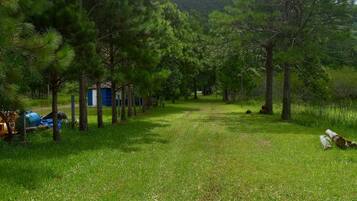 Área da propriedade