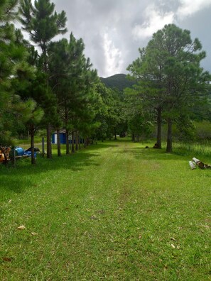 Àrea exterior de l'allotjament