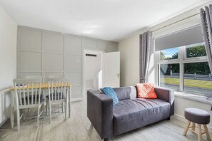 Smart TV, fireplace, books