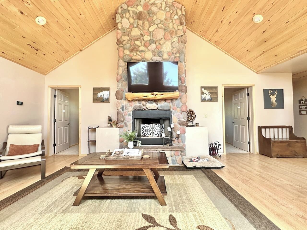 Smart TV, DVD player, books, video library