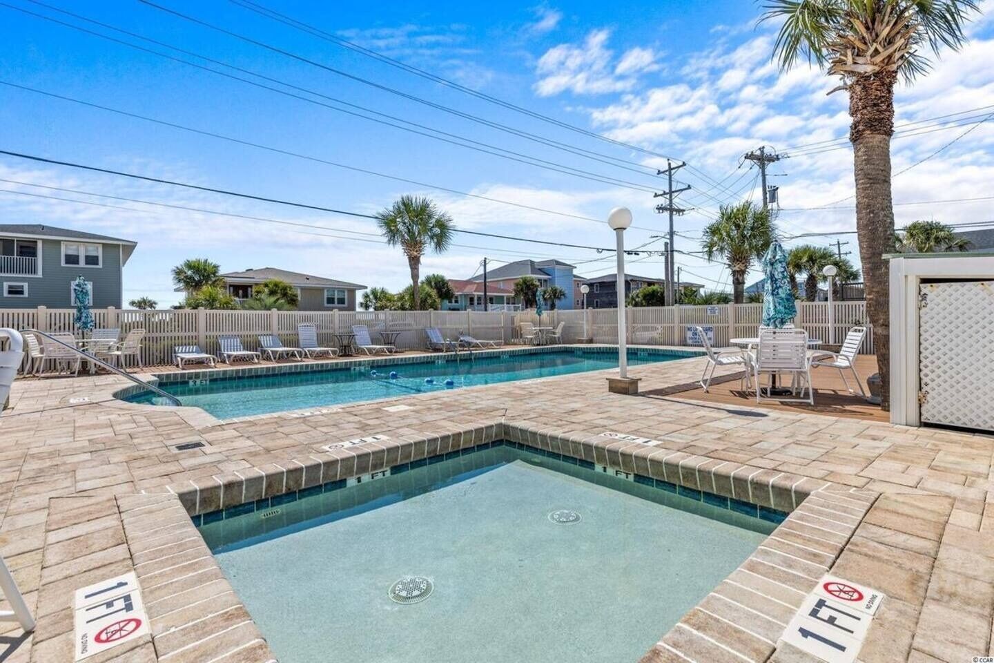 A swimming pool with lounge chairs and a palm tree.