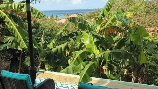 A patio with wicker furniture and a green umbrella, overlooking a lush landscape with banana trees and a view of the ocean.