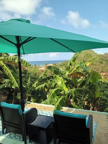 Palm Apartment at Levera Beach, St. Patrick's