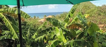 Palm Apartment at Levera Beach, St. Patrick's