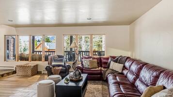 TV, fireplace, computer monitors, printers