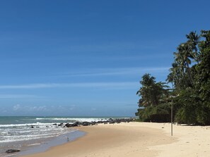 Camastros y toallas de playa 
