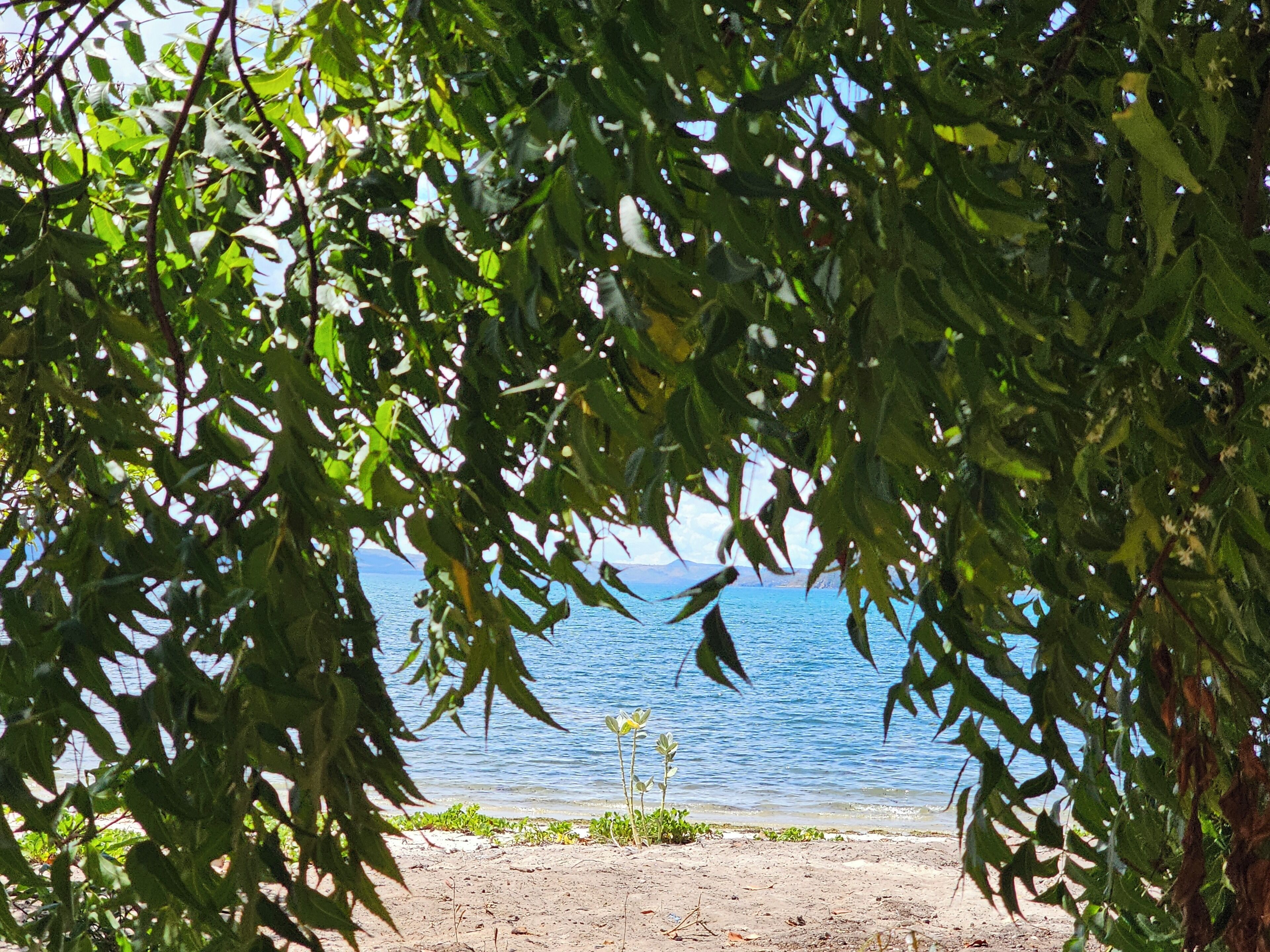 On the beach, sun loungers, beach towels