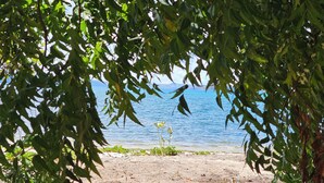 Une plage d’où l’on peut admirer la mer à travers un feuillage dense.
