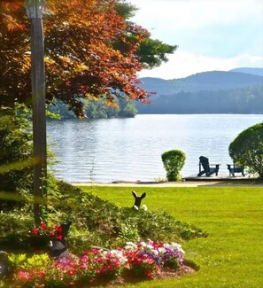 Property grounds - Quintessential Cabin on Squam Lake (Holderness)