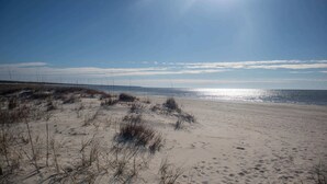 Une plage de sable avec une végétation clairsemée.